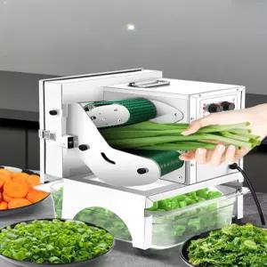 탕파절단기 방수 물세척 대파써는기계 고추 야채 F22