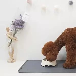 [반려] 매트 받침 실리콘 패드 반려동물 식탁 식기 펫푸드