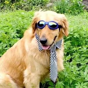 강아지 라이더 썬글라스 블루 1P 반려견 고글 여행