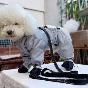 [RIZPICK]TBZ 데일리 디자인 스타일 수트 먼지 올인원 가벼운