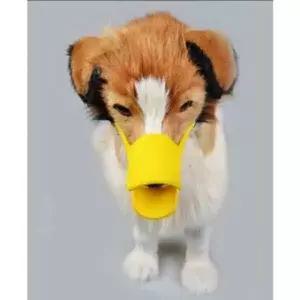 [RIZPICK]강아지 투명 애완동물 물음 입마개실리콘 입마개용품