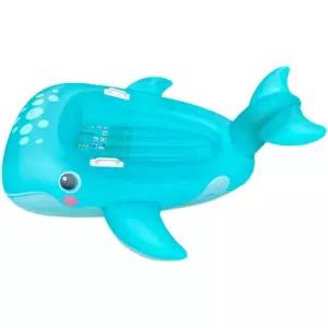 여름 바다 상어 고래 검은 큰 대형튜브 대형 튜브 수영 보트