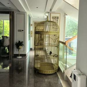 원형 새장 대형 앵무새 케이지 철제 사육장 테라스 야외 조류 스테인리스 직경