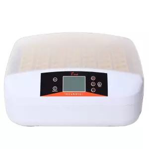 달걀 부화기 육추기 인큐베이터 키우기 가정용 병아리