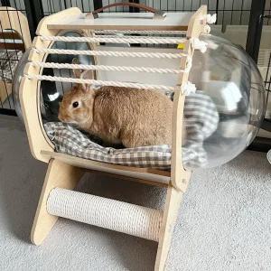 원목 캡슐 고양이 쉼터 고양이숨숨집 고양이하우스 투명숨숨집 토끼은신처