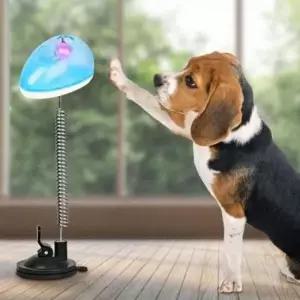 [반려] 펫 노즈워크 스윙 장난감 분리불안해소