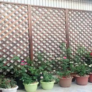 화단 야외 정원 부식 등나무 텃밭 테라스