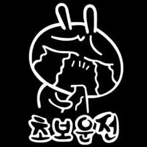 새차 초보운전데코 스티커 디자인 자동차 스티커 운전연습스티커