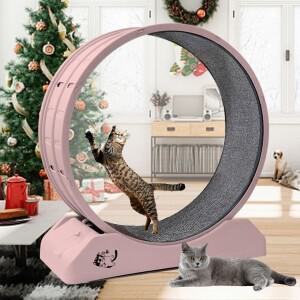 실내 고양이용 고양이 운동 휠 - 카펫 런웨이가 있는 트레드밀 스타일 휠 |   피트니스 및 체중 관리