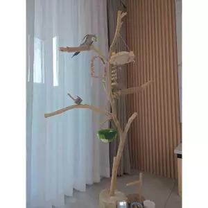 새장 놀이터 앵무새 스텐 애완 모란 새놀이터 용품 횟대