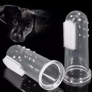 칫솔 손가락 반려동물