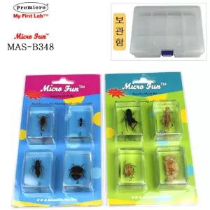 MAS-B348 표본 곤충 벌레 8종 BOX탐험 놀이 교구 관찰