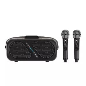 듀얼 무선마이크 블루투스 스피커 가정용 노래방 용기계 기기 용방 반주기 휴대용 노래용 용기기