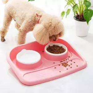 사료 흘림방지 급식기 강아지밥그릇 강아지식기