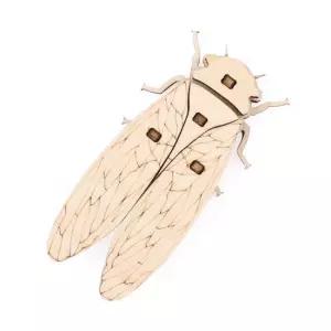나무 조립 키트 곤충만들기 매미 CM269