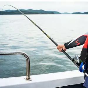 갈치 낚시대 갈치대 풀치대 바다 선상 로드전문가대 낚싯대 용품 소품