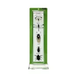 들판에 곤충 실물 건조 표본 에곤충 교육전시용 학습