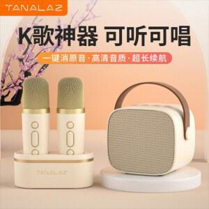 홈 미니 소형 블 트 KTV 휴대용 오디오 마이크 세트 올인원