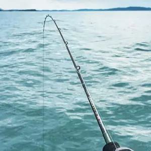 다운샷 카본 지깅 초경량 낚시대 바다릴용품 가벼운대 준비물 입문용대