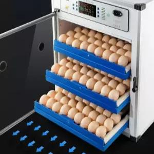 병아리육추기 병아리 계란 곰 부화기 알 달걀 케이지 닭 소형 유정란 부화 인큐베이터 단일