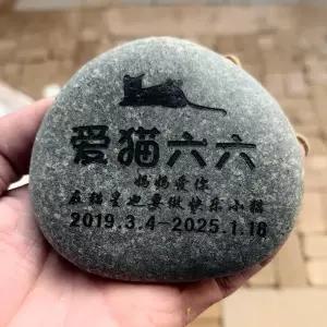 강아지 묘비 발도장 고양이 발자국 반려견 애완동물 돌조각 각인