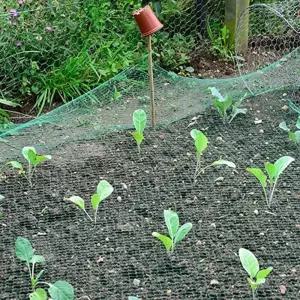 텃밭 농업용 참새그물망 조류방지그물 작물보호 2x10m