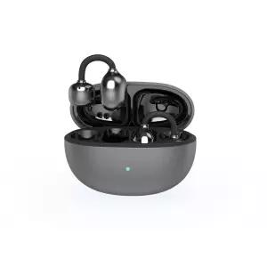 노인용 비바 보청기 APP 기능이 있는 블루투스 충전식 가려움증 예방을 위한 개방형 이어 디자인 7단계