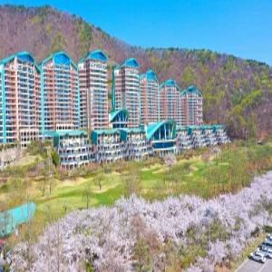 [강원 호텔] 소노펠리체 비발디파크 (홍천,횡성)