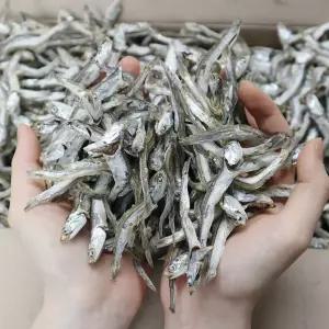 동해청정 국내산 다시멸치 1.5kg 한박스 육수용 업소용 멸치