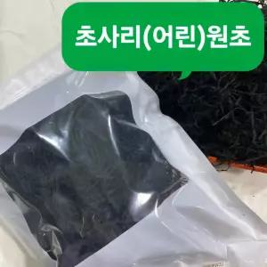 남해안 상급원초 건미역 (초사리 미역)
