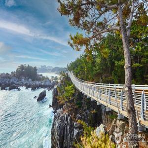 [KTX-당일]바다 곁을 달리는 해안선열차와 바다부채길+추암+강릉중앙시장