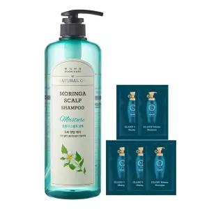 모링가 스케일링 샴푸 1000ml+샴푸5매 / 두피 모발 영양