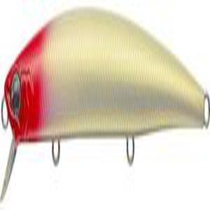 Evergreen (EVERGREEN) 스트림 로그 135 # 705 레드 헤드 펄