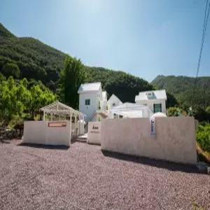 [경남] 제이코코(경남, 밀양)