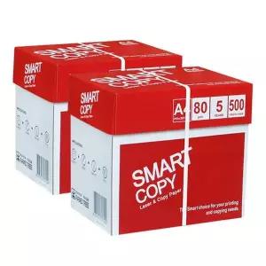 [더블에이] 스마트카피 A4 복사용지 80g 2박스 5000매 프린트 사무용지 에이포 더블A(Double A)