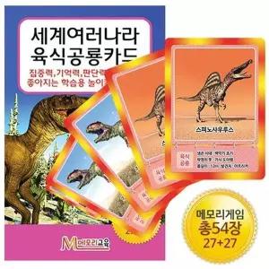 메모리교육 육식공룡카드