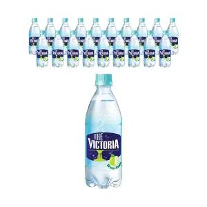더 빅토리아 탄산음료 그린애플 500ml, 20입, 1개
