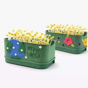 뚝딱 콩나물 키우기 키트 사각시루 만들기 그림 그리기 교구 재료