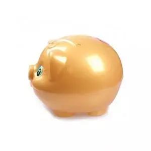 매장정품 더블유쇼핑 황금돼지 저금통 대 잔돈 비상금 금고 모금통 동전 돼지저금통 24205731 1840614
