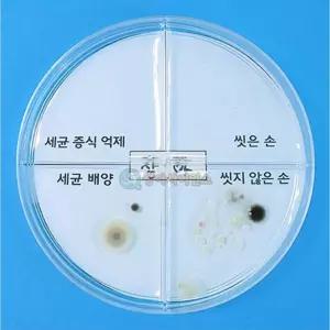 과학 실험용 세균 배양 억제 실험 키트 4인 과학체험세트 과학놀이교재