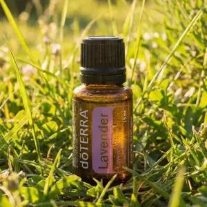 도테라라벤더오일 에센셜 15ml 도테라오일 아로마 수면+증정품