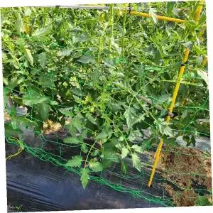 텃밭 채소 덩굴 식물 재배용 그물망 지지대 오이 호박 완두콩 넝쿨 유인 고정