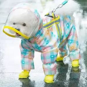 [반려] 반려견 강아지 레인코트 우비 산책 이든앤저스티스