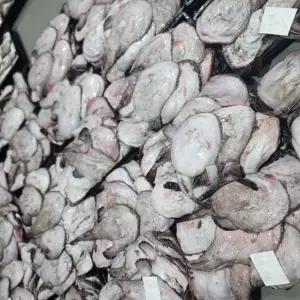 국내산 생물 손질 아귀 1마리 손질전 2kg 간, 위