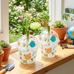 [키득키득]환경교육 만년화분 개운죽 소일화분 식물키우기 만들기 패키지