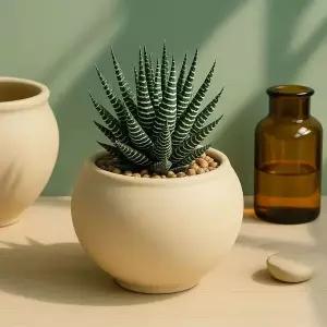 샌드화이트 볼형 중형 식물화분 13x11cm 토분 인테리어 소품