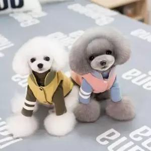 강아지무스탕 강아지 고양이 누빔 조끼 의류