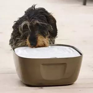 자동 강아지 물통 급수기 강아지 식수대 반려견 애견