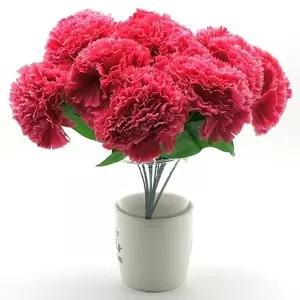 어버이날 선물 카네이션 꽃송이 4개세트