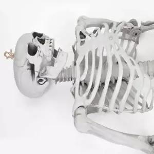 할로윈 전신해골모형 대 캠핑장식 할로윈데코 해골소품